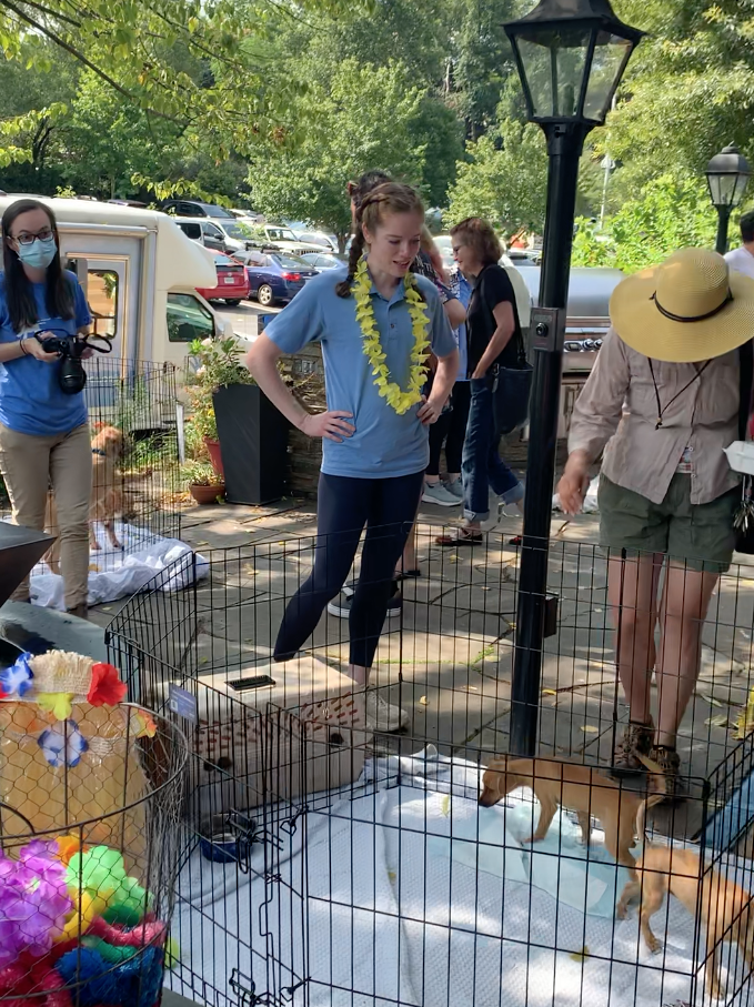 Animal Connection SPCA Tiki Party Adoption Event on the patio.png